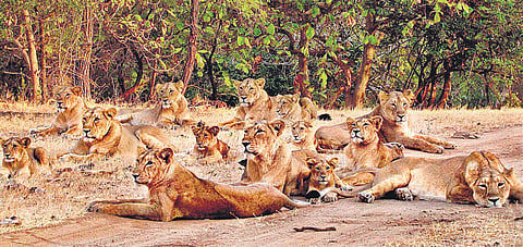 Image used for representational purpose only. (File Photo)