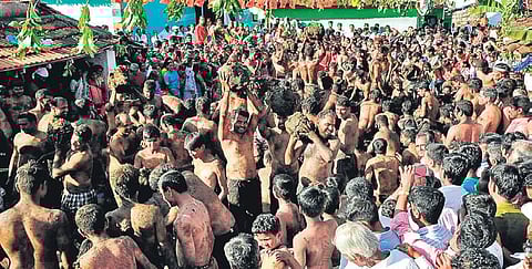 Villagers throw cow dung as part of Deepavali celebrations in Gomatapura village