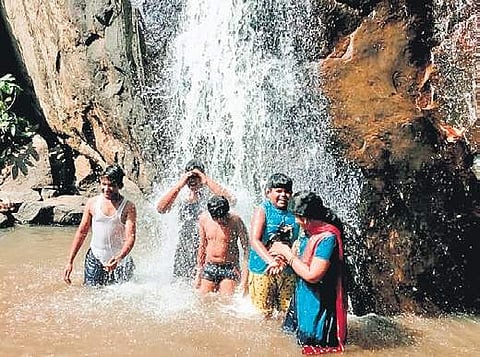 Tourism circuits create jobs for tribal youths