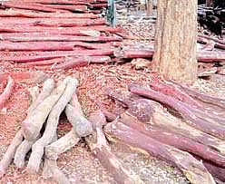 Image used for representational purpose only.