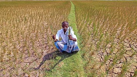 Image used for representational purposes only,