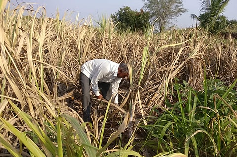 Image used for representational purpose only.