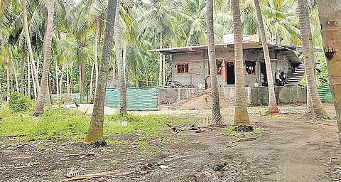 A view of Thanelanka village in Mummidivaram mandal of East Godavari district | EXPRESS