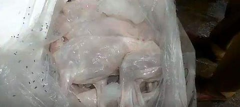 The dog meat  seized at Chennai's Egmore railway station. (Photo | Video screengrab)