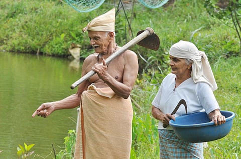 Considering the financial loss the farmers of Kerala suffered during the floods, Agriculture Department has asked them to insure the crops (File photo | EPS)