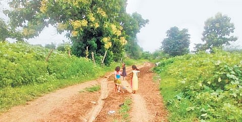 An unlaid road in Khanapur constituency, in Adilabad | Express
