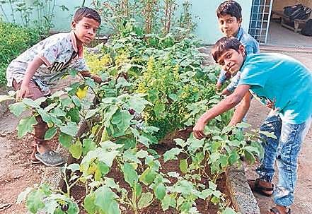 Kids helping in growing vegetables at a ‘nutri garden’ in U Kottapalli mandal