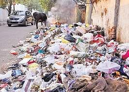 Thiruvananthapuram Corporation  has come up with a proposal to set up waste management plants free of cost for institutions that generate waste on a large scale