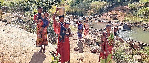 Women collecting water from a nullah at Tangam village in Kandhamal district | Express