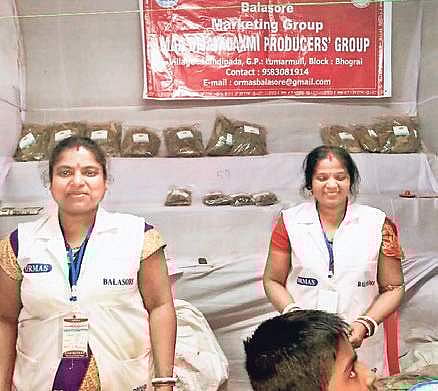 Handipada bay leaves a hit among Baliyatra visitors in Odisha