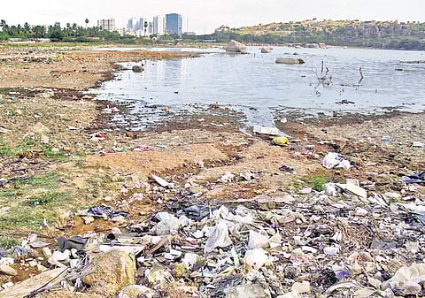As per the Wetlands (Conservation & Management) Rules, it is requisite that the State’s wetlands be protected | sathya keerthi