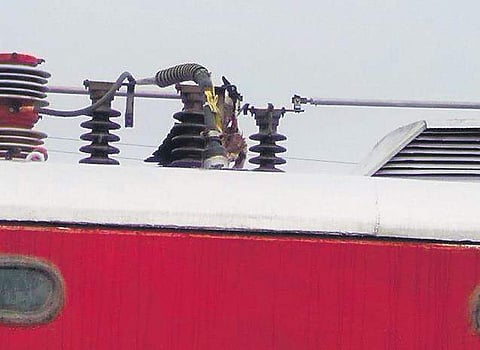 Bird-hit incidents resulting in emergency landing of flights and cancellation are common in the aviation sector.