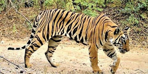 Image used for representational purpose only.