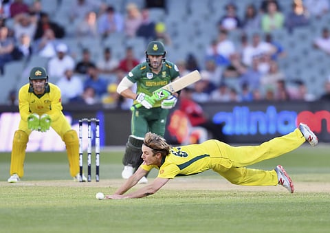 Adam Zampa of Australia fields the ball off his own bowling to Faf du Plessis of South Africa during their ODI match in Adelaide | AP