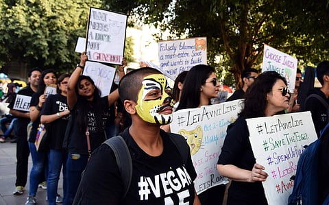 Animal right activists protest against the Maharastra Government shoot-at-sight notice for tigress Named Avni in New Delhi. | EPS