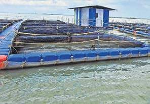 Cages at Hirakud dam reservoir | Express