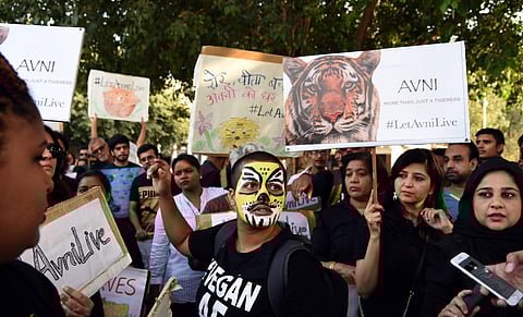 Animal activists protest against the Maharashtra government shoot-at-sight notice for Avni tigress. (File Photo | EPS)