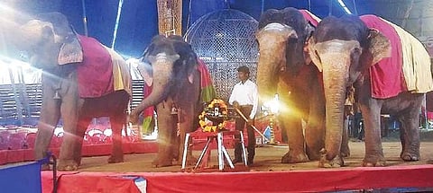 File picture of elephants performing at a circus in Chikkamagaluru | G Veeresh
