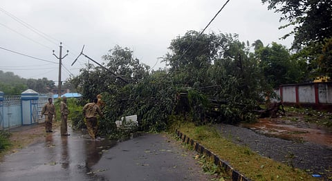 A tree uprooted on a road connecting between Berhampur and Gopalpur during the cyclonic strom 'Titli' in Ganjam district. (EPS| Biswanath Swain)