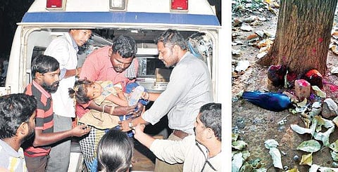 A young devotee being taken to hospital on Friday after she took ill on eating prasadam at Kichugatti Maramma Temple in Chamarajanagar district.(Right) A dead crow in front of the temple | Udayshankar S