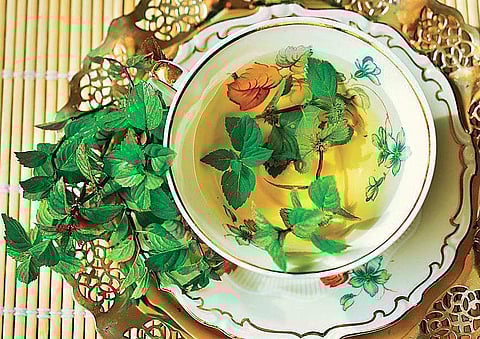 Herbal teas are derived from dried flowers, spices, herbs and fruits. (Right) Peppermint tea.