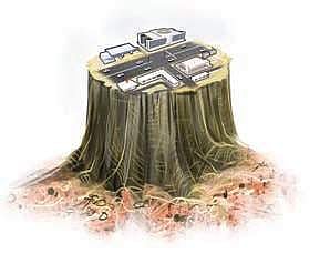 Image of deforestation used for representation.