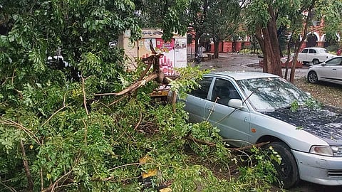 A fallen tree on a car in Kakinada, Andhra Pradesh ahead of cyclone Phethai's on 17 December 2018. (Photo | EPS)