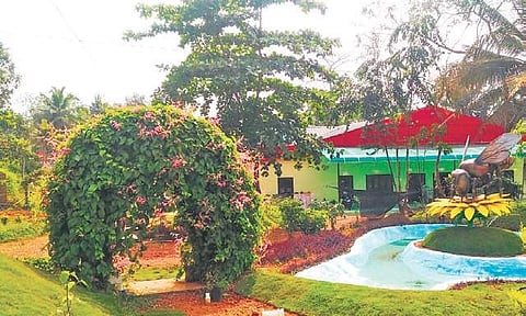 Beekeeping Consortium and Training Centre under the Kerala State Horticulture Products Corporation (Horticorp) at Mavelikkara | Express