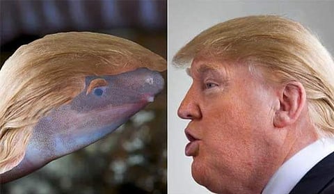 A picture shared by sustainable building company EnviroBuild on Facebook. (Photo: Facebook)