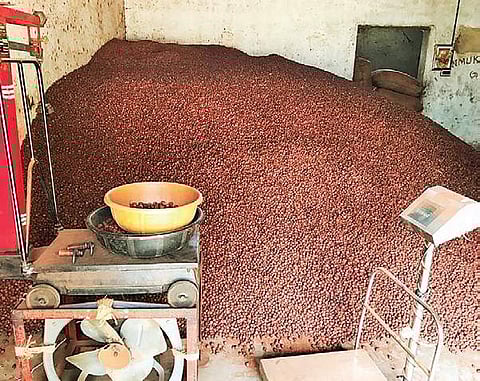 Areca nut seized by the Commercial Tax department officials  at Antharasanahalli Industrial Area in Tumakuru.