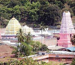 Record income for Simhachalam temple