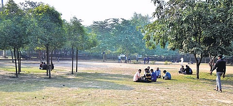 The park in Noida Sector 58  where the local police station asked companies to stop their Muslim employees from offering their namaz | Express