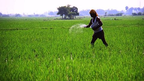 No loan waiver scheme, but big farm relief plan to be announced soon