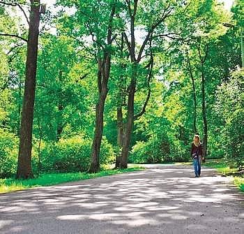 Take a deep breath: HMDA to develop 16 forest clusters as urban lung spaces in Hyderabad