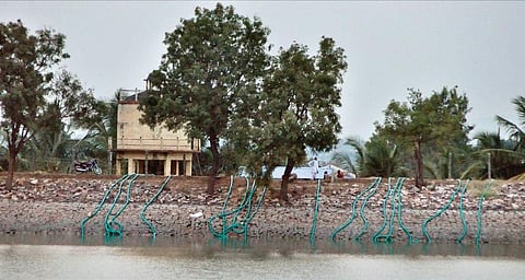 Jagirdar’s Lake in Morab village where water is being pumped out | Express