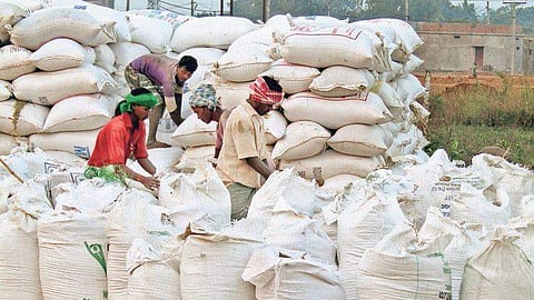 Farm labourers packing paddy bags for procurement at Tankua village in Koraput district on Saturday | PARESH RATH