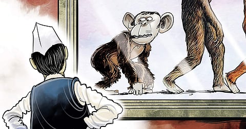 Theory of political evolution