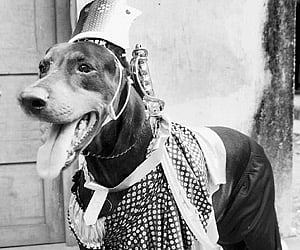 Image for representational purpose only