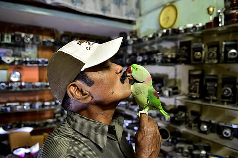 Scores of feathery-little green parakeets descend on Joseph Sekar's house in Royapettah each day. Ten years ago, the 63-year-old camera technician or 'The Bird Man of Chennai' as he is called, opened his heart and home to over 8,000 parakeets. Take a look