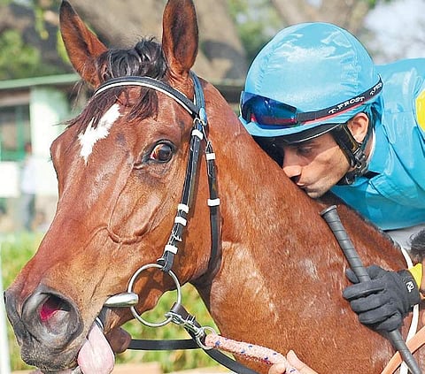 Jockey P Trevor kissing victorious horse Kangara who won the Bangalore Derby Cup  on Sunday  Nagesh Polali
