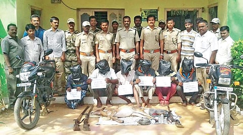 Hunters arrested with arms and ammunitions and a kill by Halgur range officials