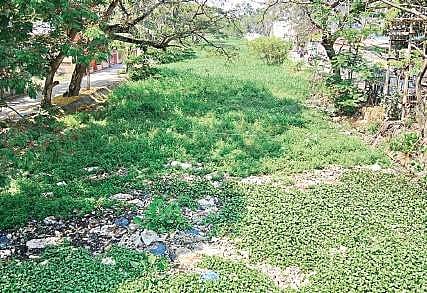 Parvathi Puthanar at Vallakkadavu stretch. It is a man-made canal that runs through the west coast of Thiruvananthapuram   B P Deepu