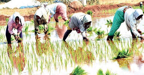 Image used for representational purpose.