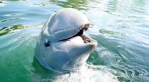 Image used for representational purpose.