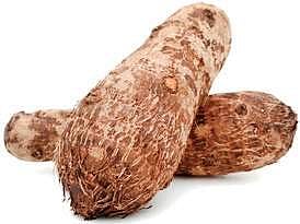 Hot and crispy garadu comes to rescue in winters