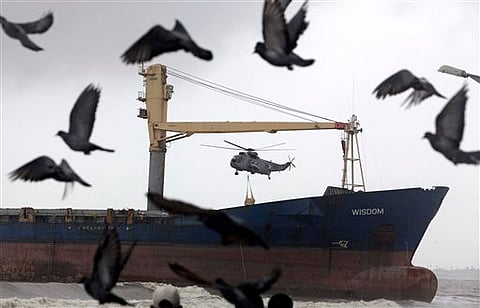 Pigeons image used for representation (AP)