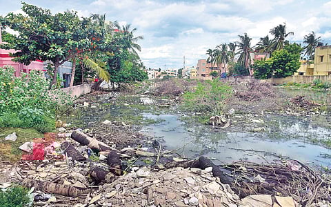 Stagnant sewage at the HR&CE land in Selaiyur- Chitlapakkam border  | Martin Louis