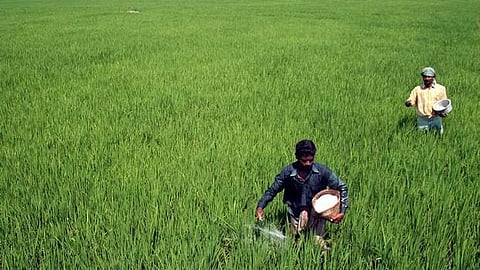 Image used for representational purpose. (File | EPS)