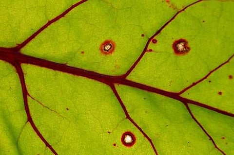 Image for representational purpose only.