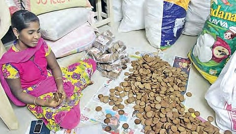 Millet processing give new hopes to SHG women, farmers in Vizianagaram district of Andhra Pradesh